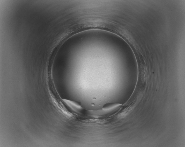 X0000074000482200608211418