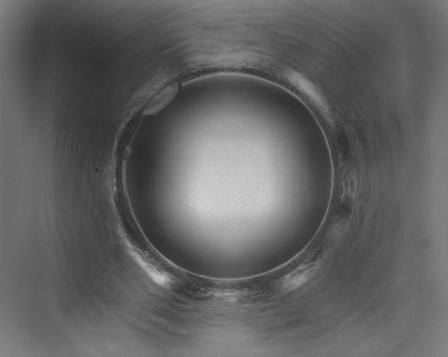 X0000074000486200608211418