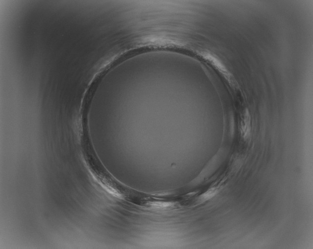 X0000074000488200608211418