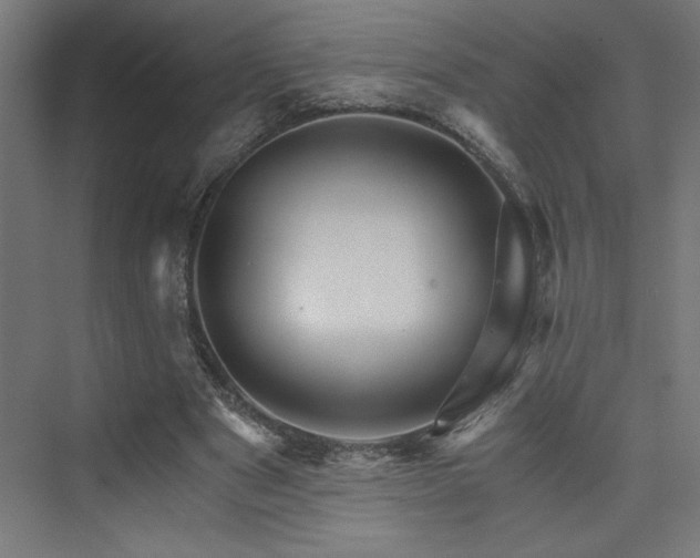 X0000074000489200608211418