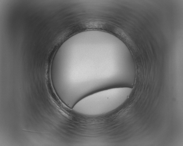 X0000074000490200608211418