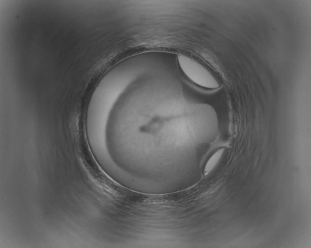 X0000074000491200608211418