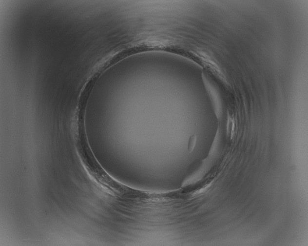 X0000074000492200608211418