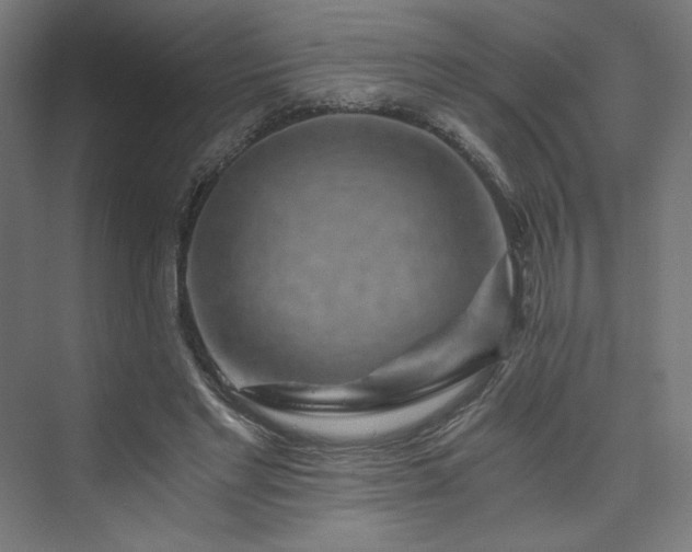 X0000074000493200608211418