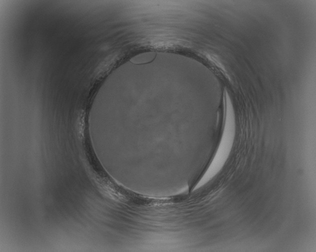 X0000074000495200608211417