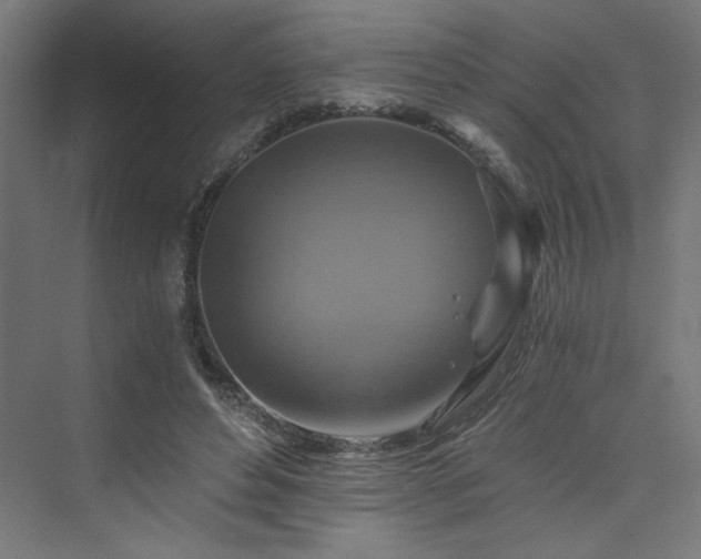 X0000074000496200608211417