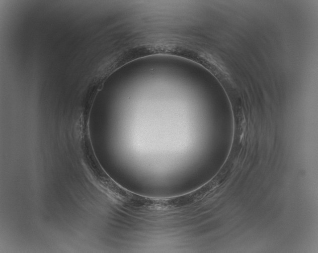 X0000074000498200608211417