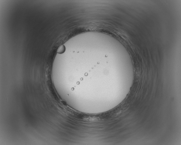 X0000074000503200608211417