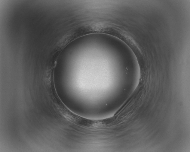 X0000074000505200608211417