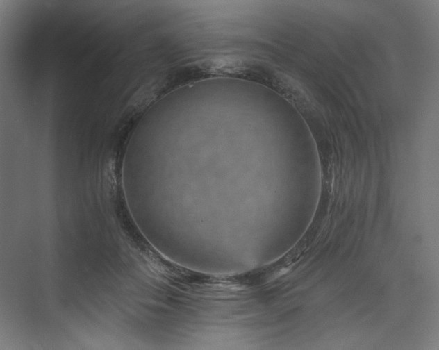 X0000074000506200608211417