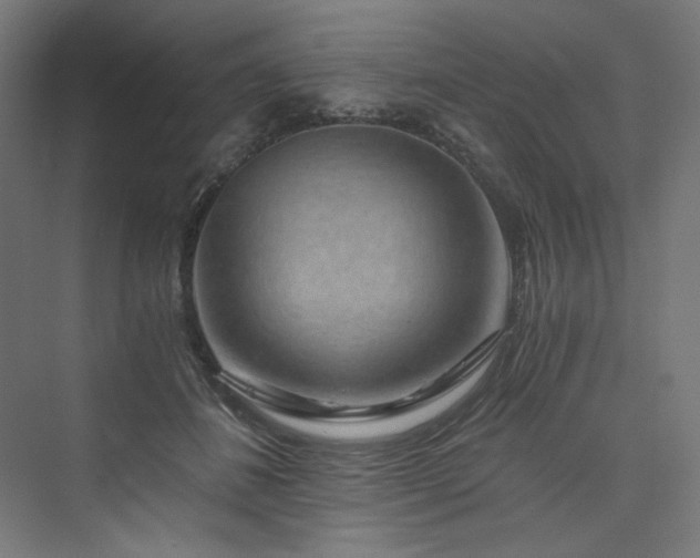 X0000074000508200608211417