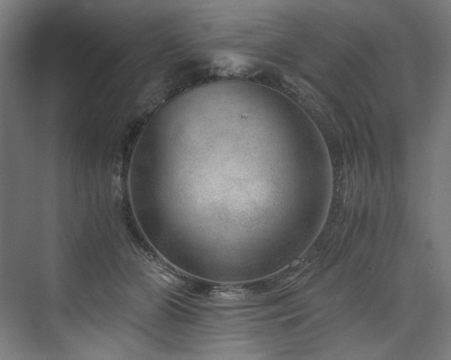 X0000074000510200608211417