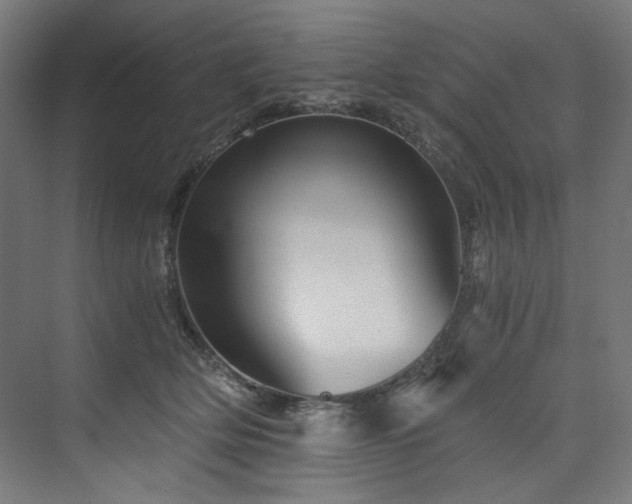 X0000074000514200608211417