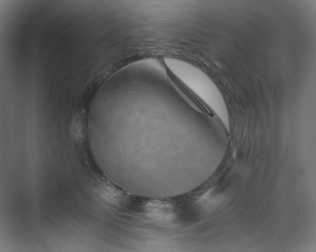 X0000074000515200608211417