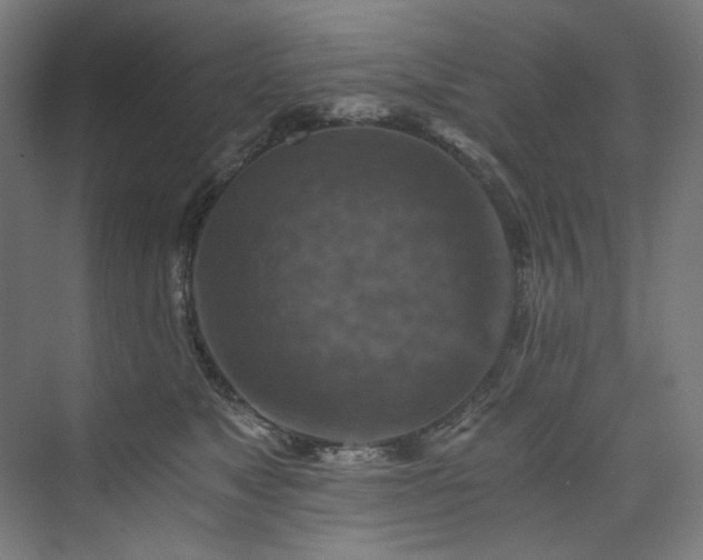 X0000074000517200608211417