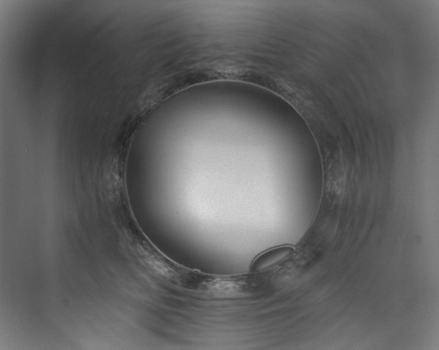 X0000074000518200608211417