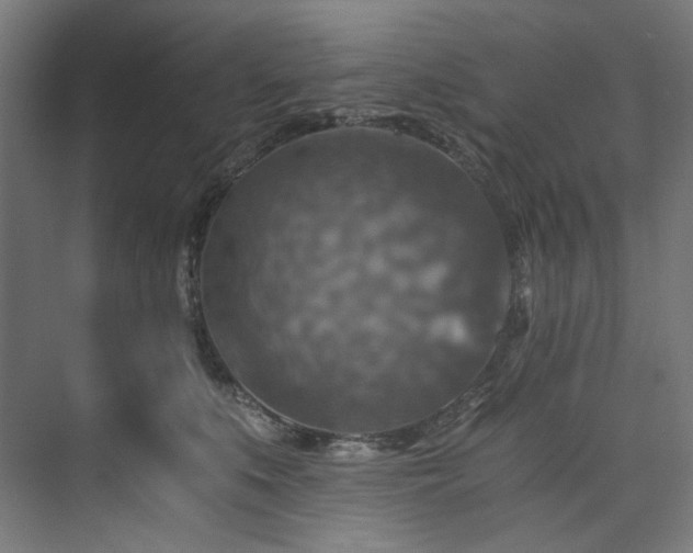 X0000074000519200608211417