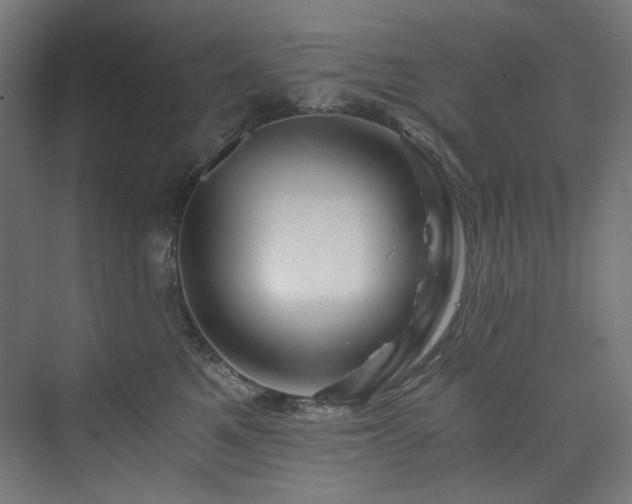 X0000074000521200608211417