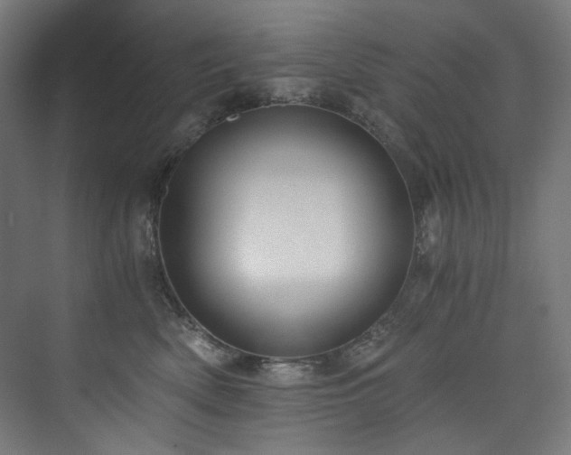 X0000074000522200608211417