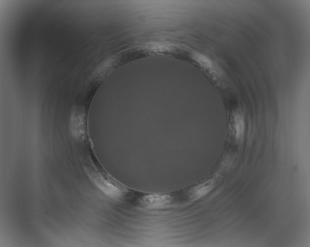 X0000074000526200608211417