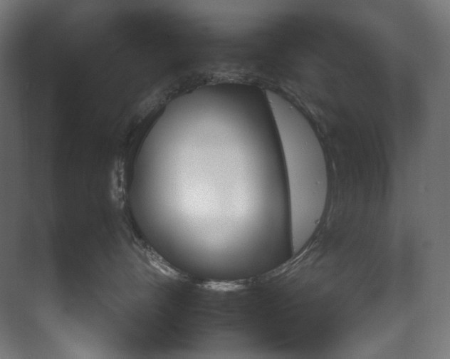 X0000074000528200608211417