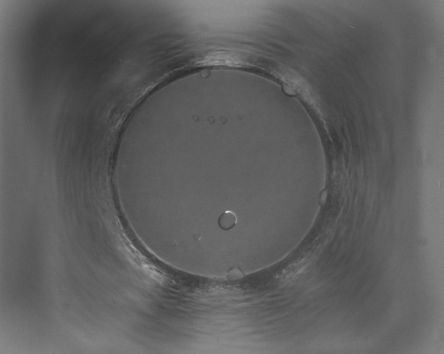 X0000074000529200608211416