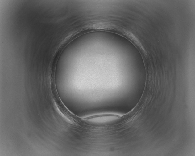 X0000074000530200608211416