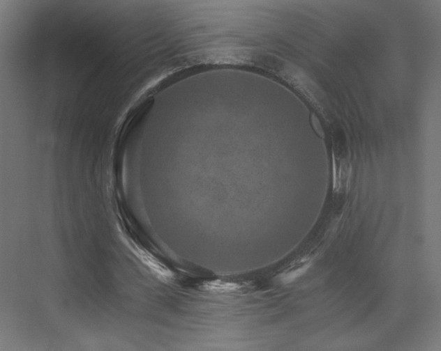 X0000074000531200608211416