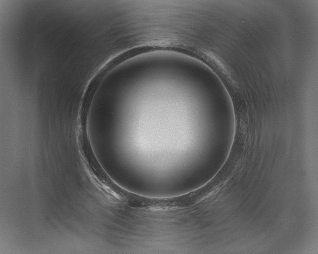 X0000074000532200608211416