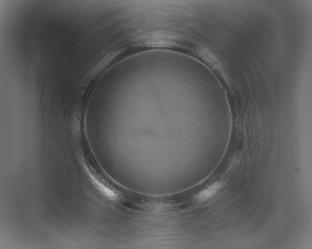 X0000074000533200608211416