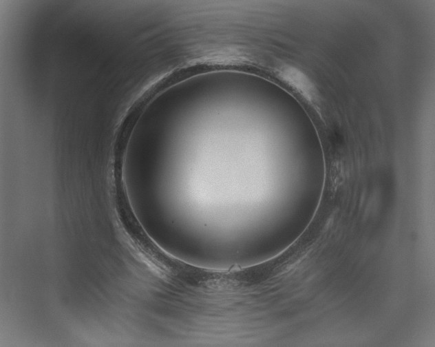 X0000074000535200608211416