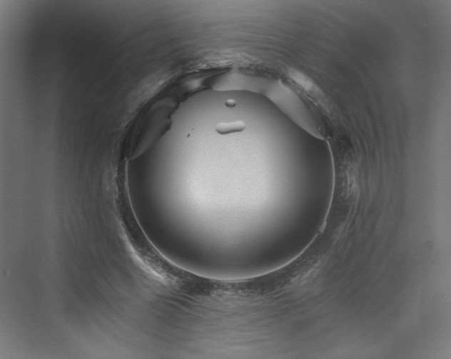 X0000074000538200608211416