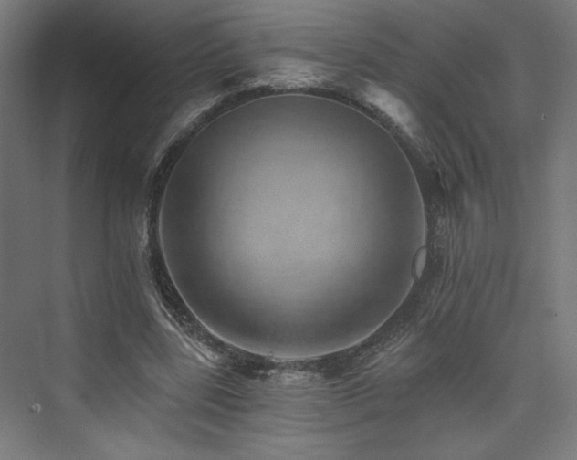 X0000074000539200608211416