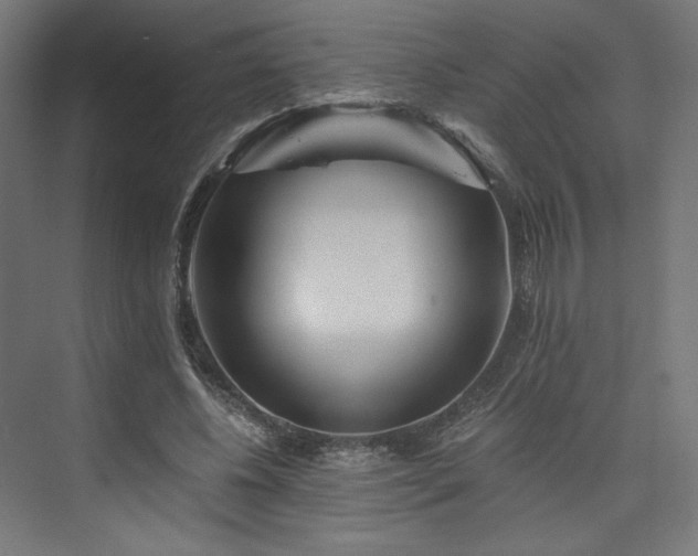 X0000074000540200608211416