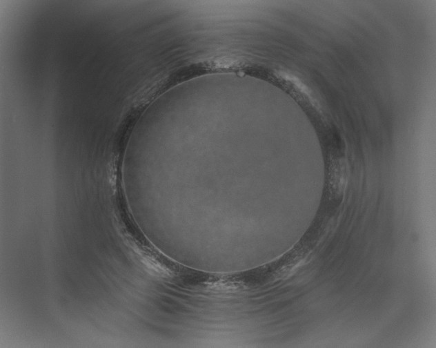 X0000074000545200608211416