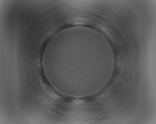 X0000074000547200608211416