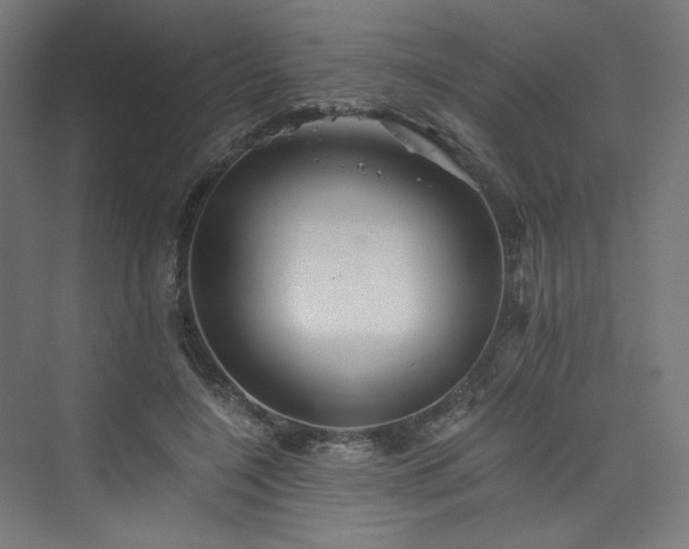 X0000074000548200608211416
