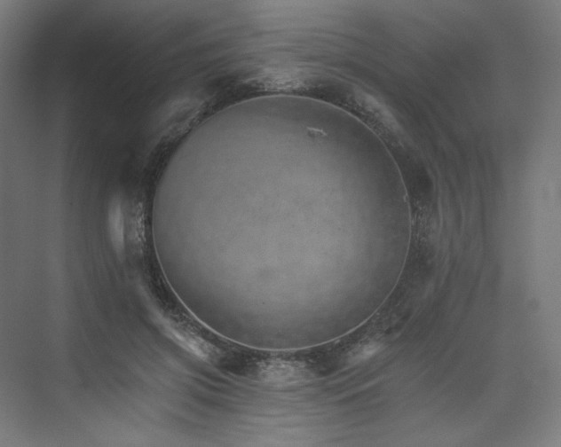 X0000074000549200608211416