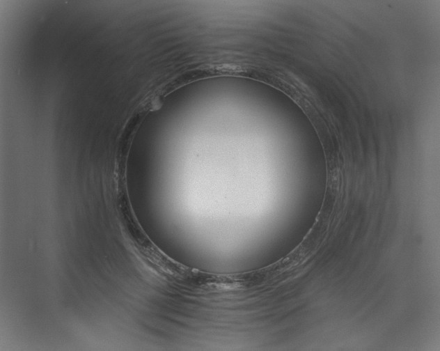 X0000074000552200608211416