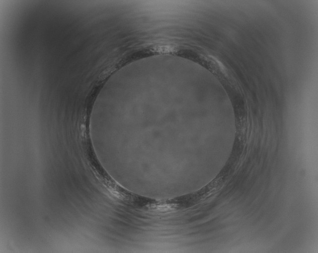 X0000074000553200608211417