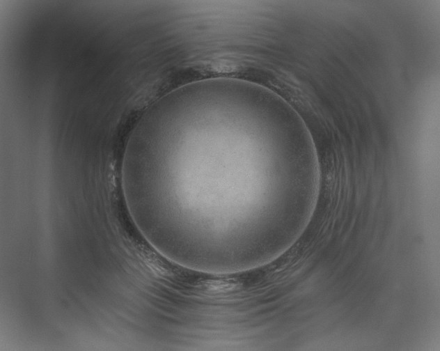 X0000074000555200608211417