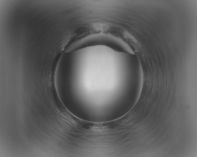 X0000074000556200608211417