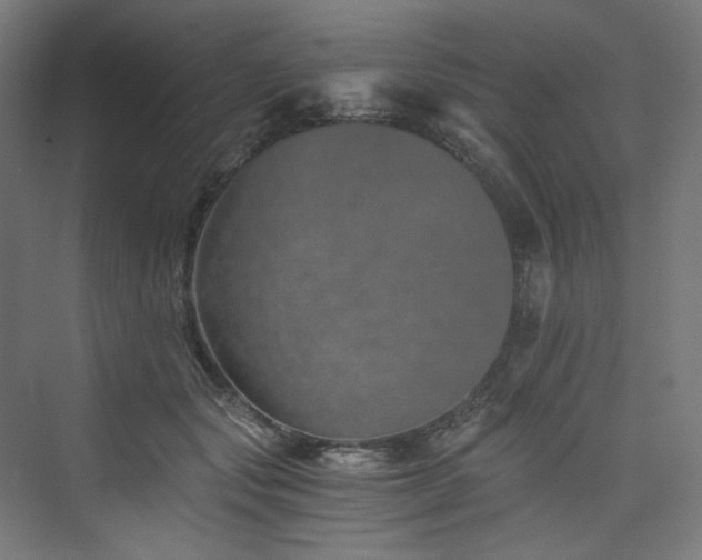 X0000074000557200608211417
