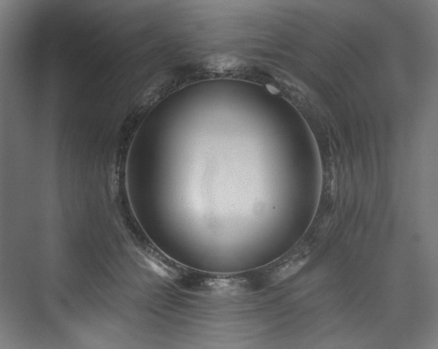 X0000074000558200608211417