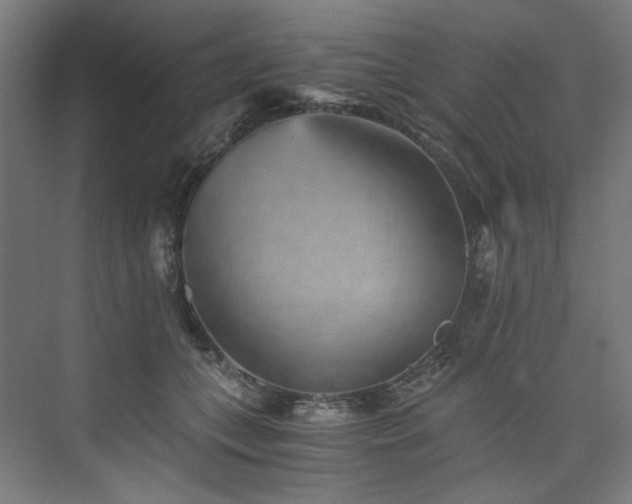 X0000074000559200608211417