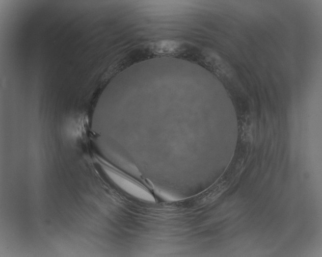 X0000074000561200608211417