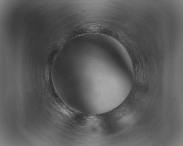 X0000074000562200608211417