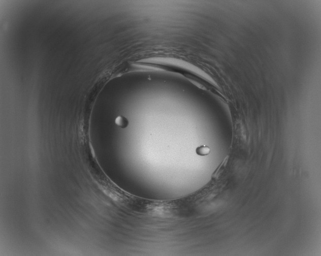 X0000074000564200608211417