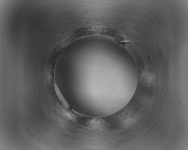 X0000074000566200608211417