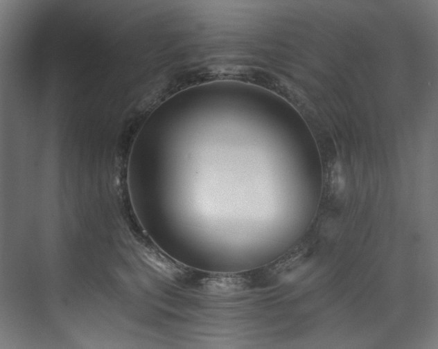 X0000074000567200608211417
